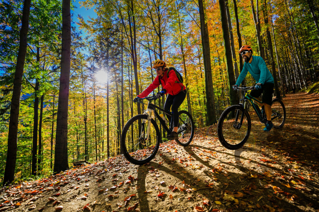 Ways to stay active and enjoy the Fall weather- Mountain biking